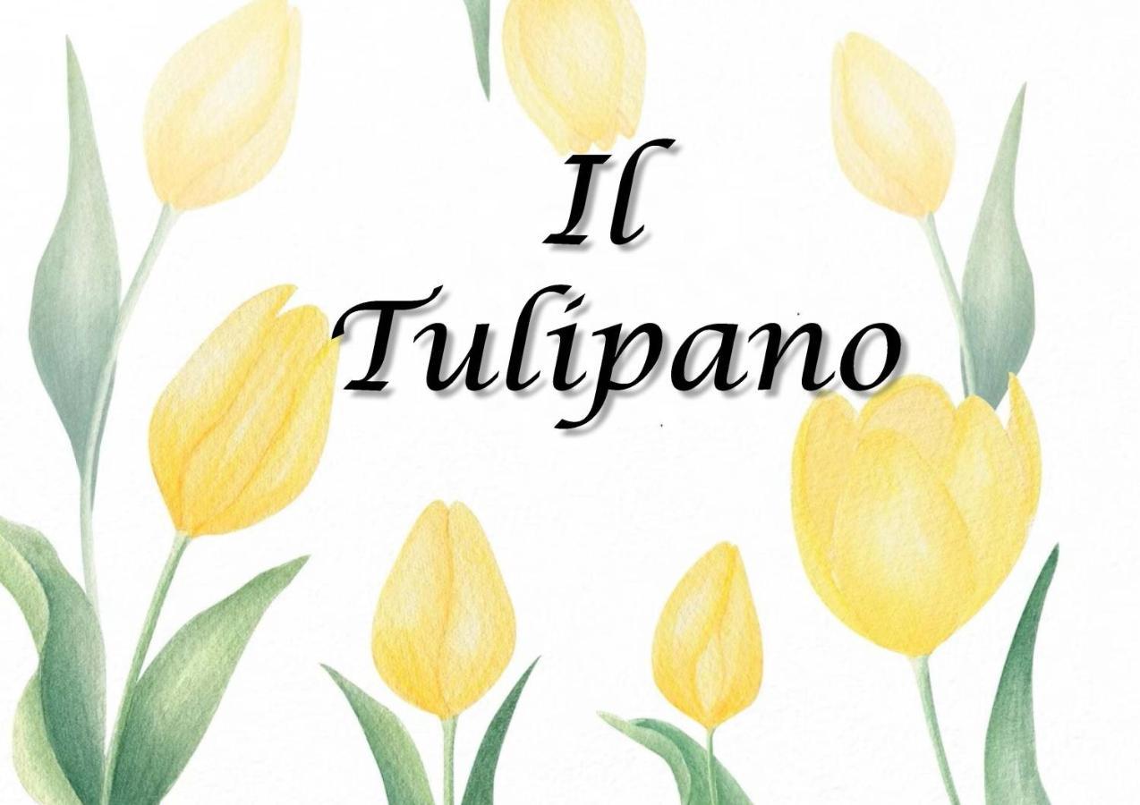 Il Tulipano Apartamento Trezzano Rosa Exterior foto